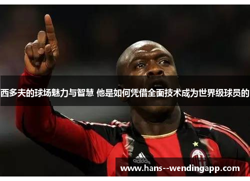 西多夫的球场魅力与智慧 他是如何凭借全面技术成为世界级球员的 西多夫的球场魅力与智慧 他是如何凭借全面技术成为世界级球员的
