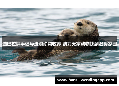 迪巴拉携手倡导流浪动物收养 助力无家动物找到温暖家园 迪巴拉携手倡导流浪动物收养 助力无家动物找到温暖家园