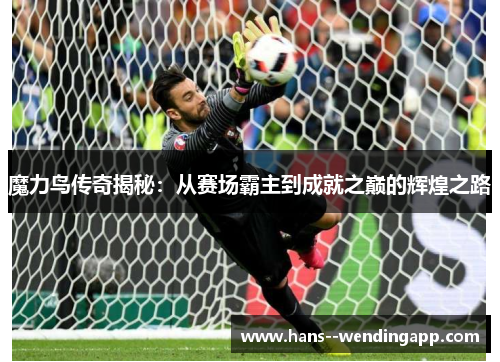 魔力鸟传奇揭秘：从赛场霸主到成就之巅的辉煌之路