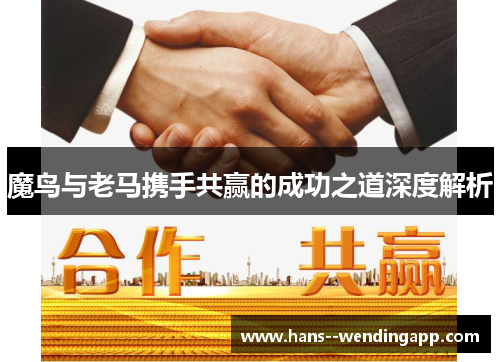 魔鸟与老马携手共赢的成功之道深度解析